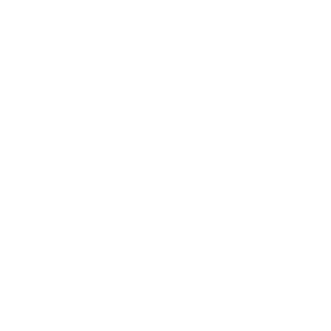 Disney Audit